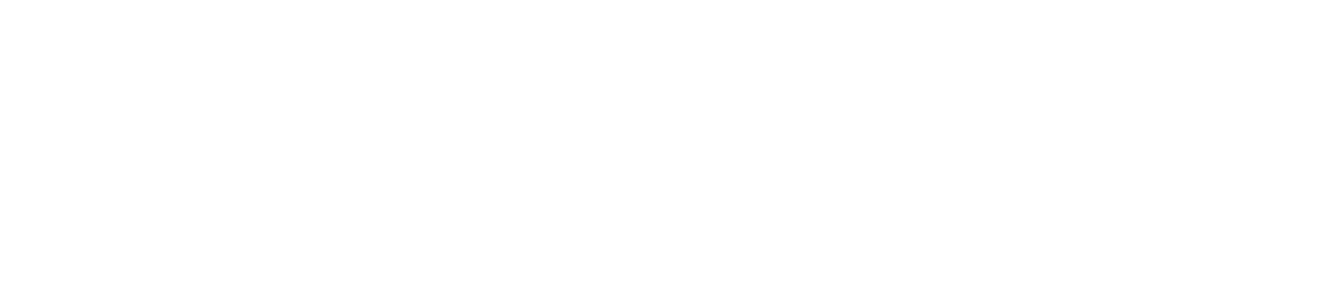 Rise of the Tomb Raider логотип
